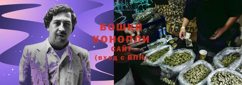 как найти наркотики  Наволоки  Шишки марихуана Ganja 